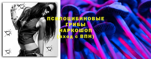индика Балабаново