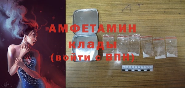 индика Балабаново