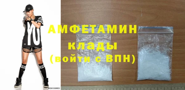 индика Балабаново