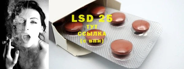 индика Балабаново