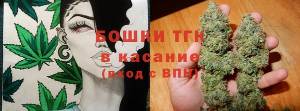 индика Балабаново