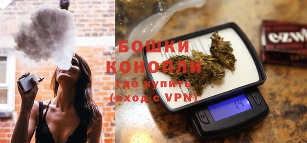 индика Балабаново