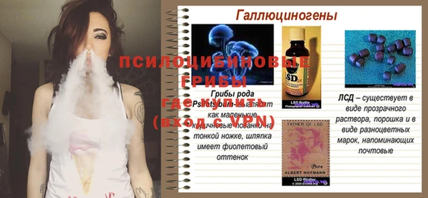 индика Балабаново
