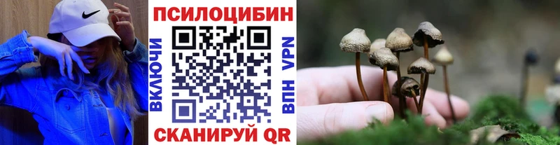 Галлюциногенные грибы Psilocybine cubensis  Вытегра 